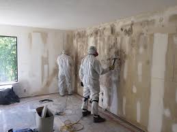 Forensic Mold Investigation in Jonesborough, TN